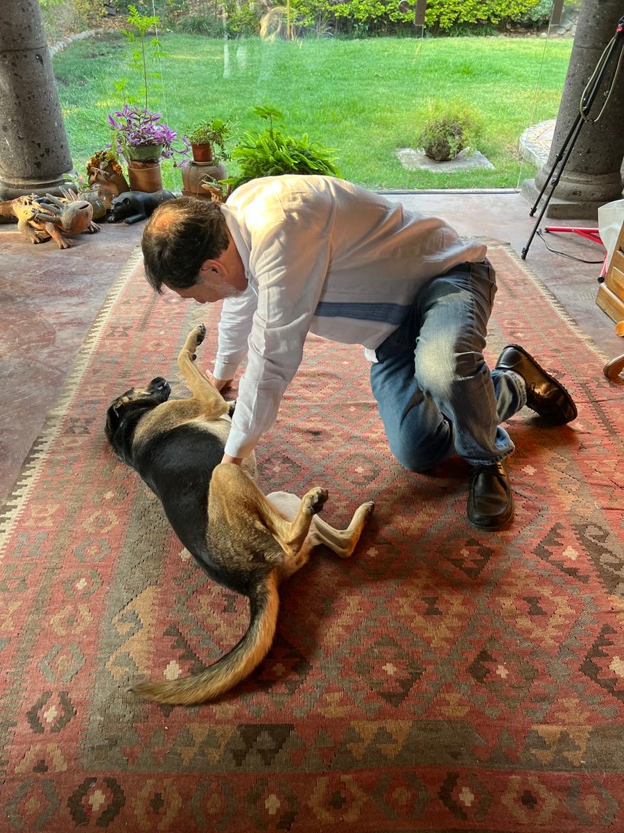 Fernández Noroña tweet media