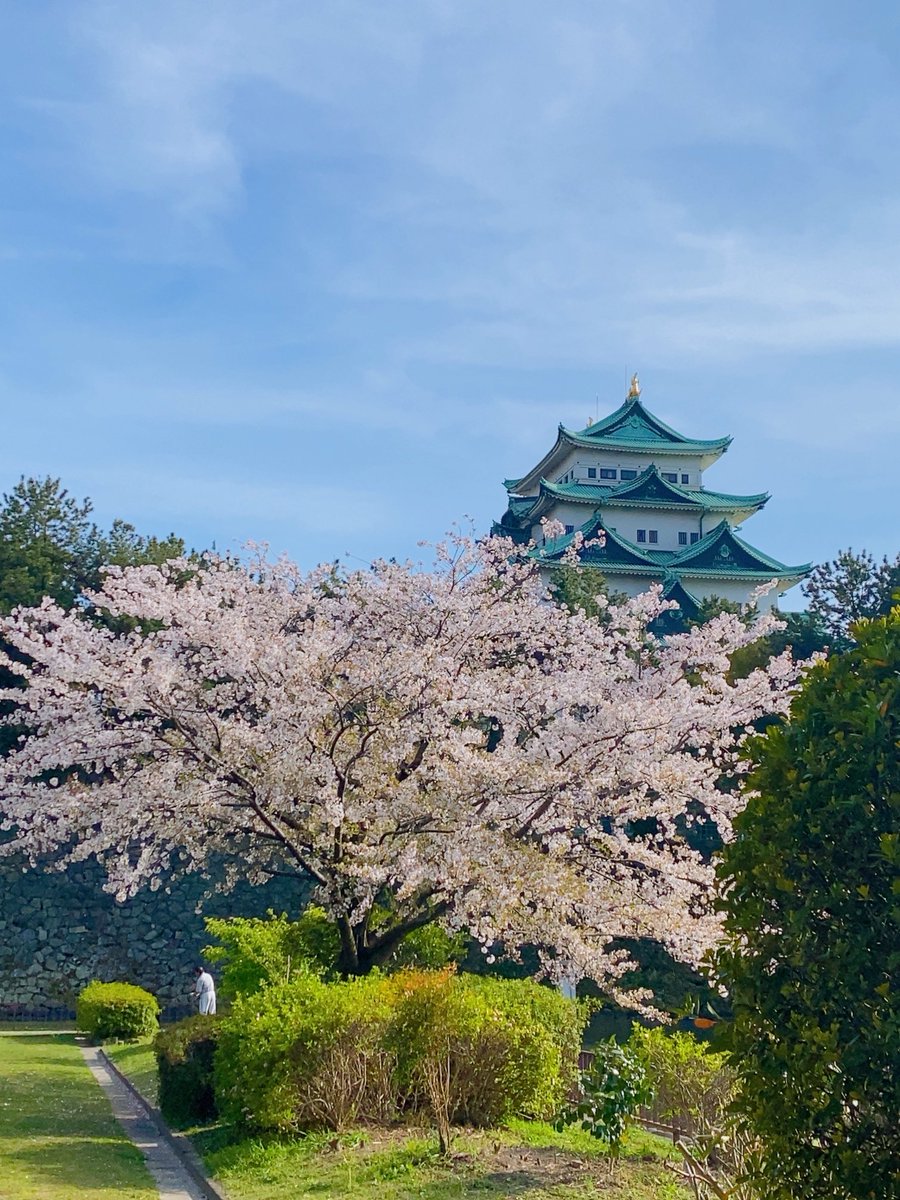 Shinesaran tweet media