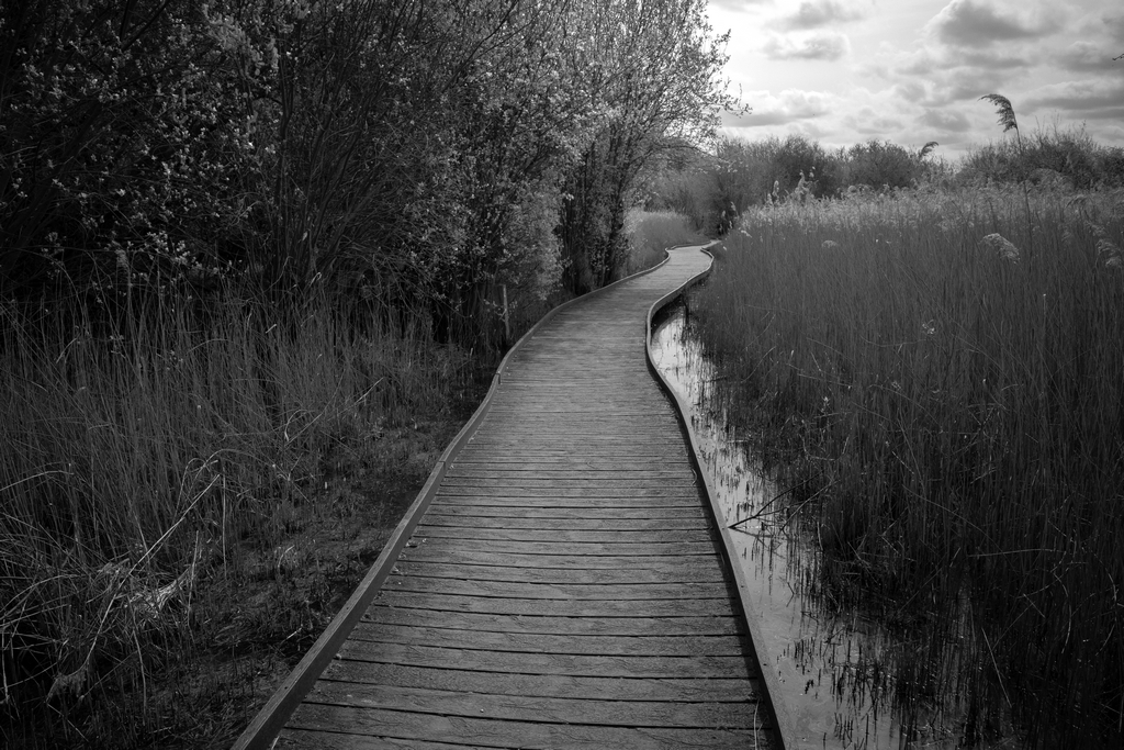 Dave Webb tweet media