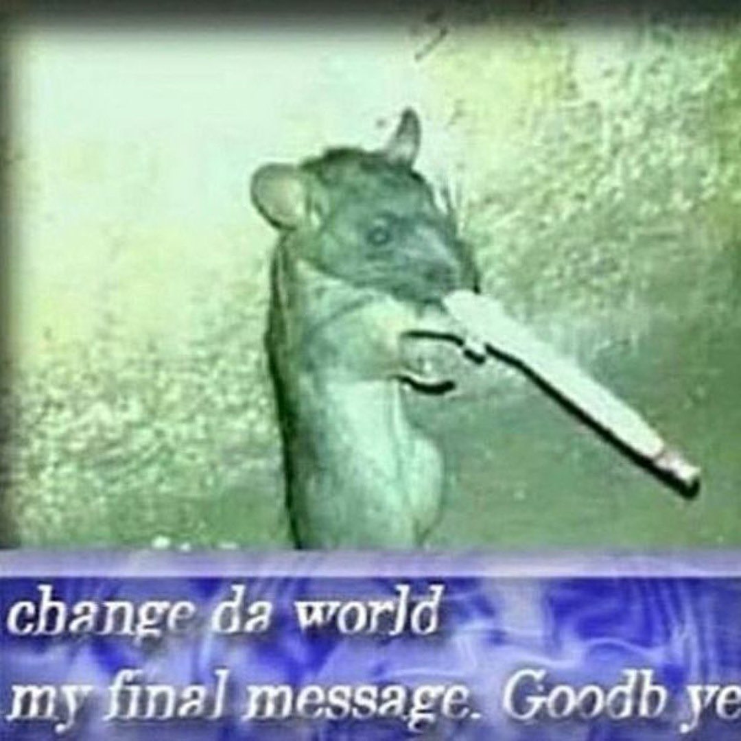 willow 😽 (they/them) tweet media