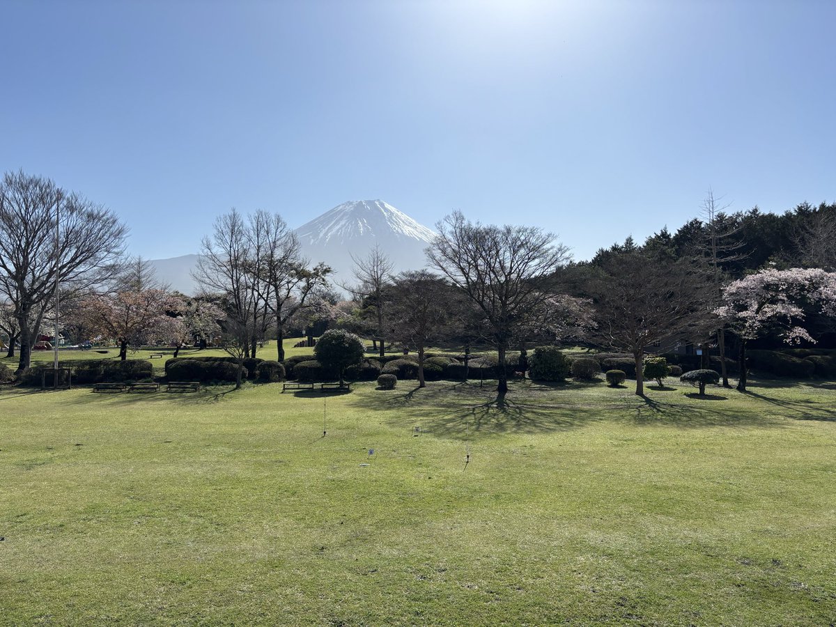 朝霧高原もちや@富士山西麓標高約750m tweet media