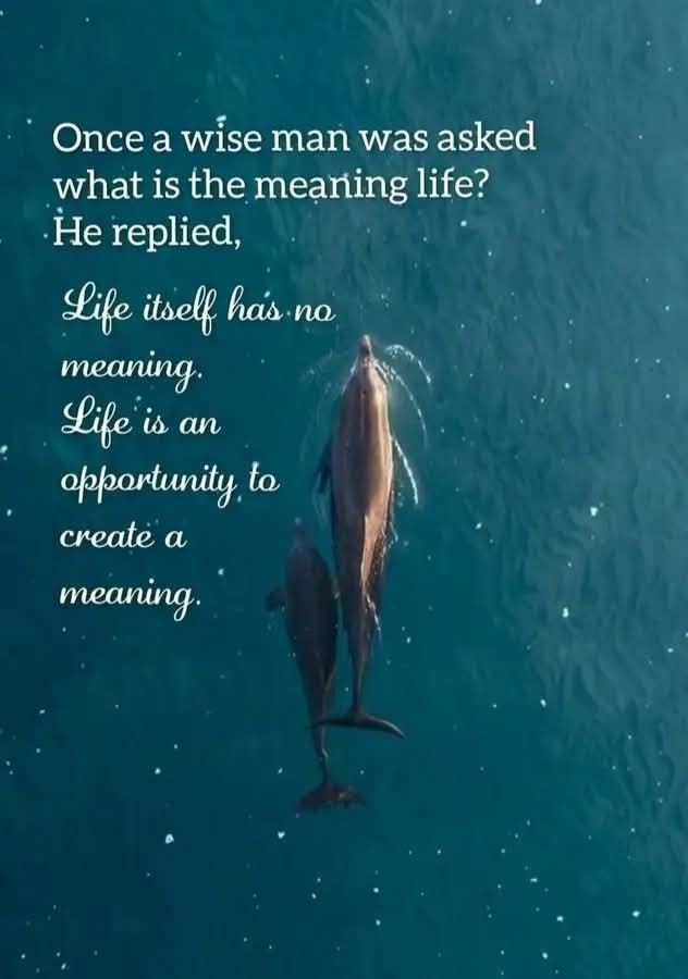 Shekar Iyer tweet media