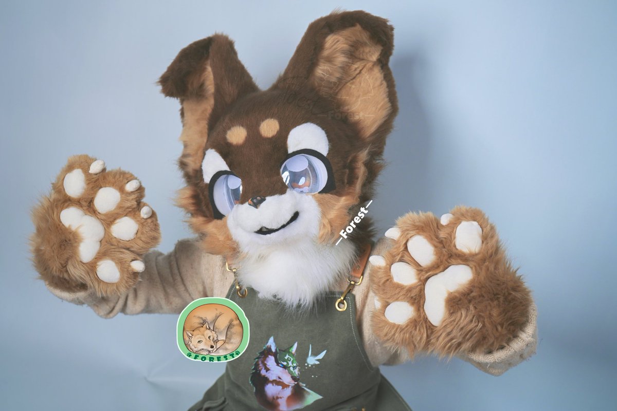 forest_fuzz's tweet photo. Hands? Paws?”🐾

#furry #fursuit #fursuitmaker #fursuitcommissions https://t.co/2JDAGMf6WH