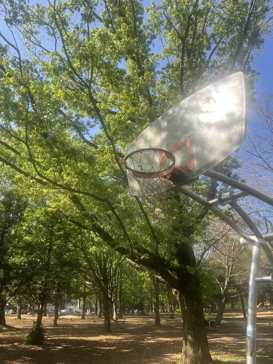 Fumihiro Kaneko tweet media