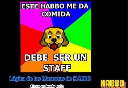 Kaidox Habbo tweet media