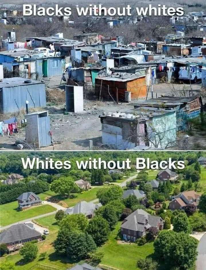 MAGAmemeTeam tweet media