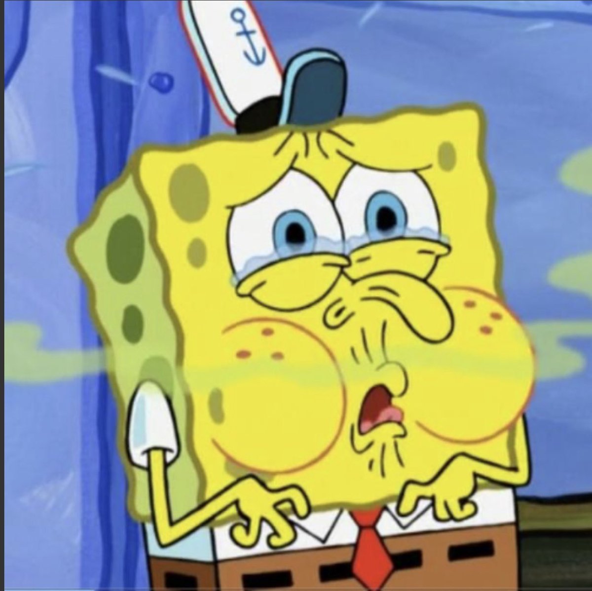 Darren Harris Believer🦈 tweet media