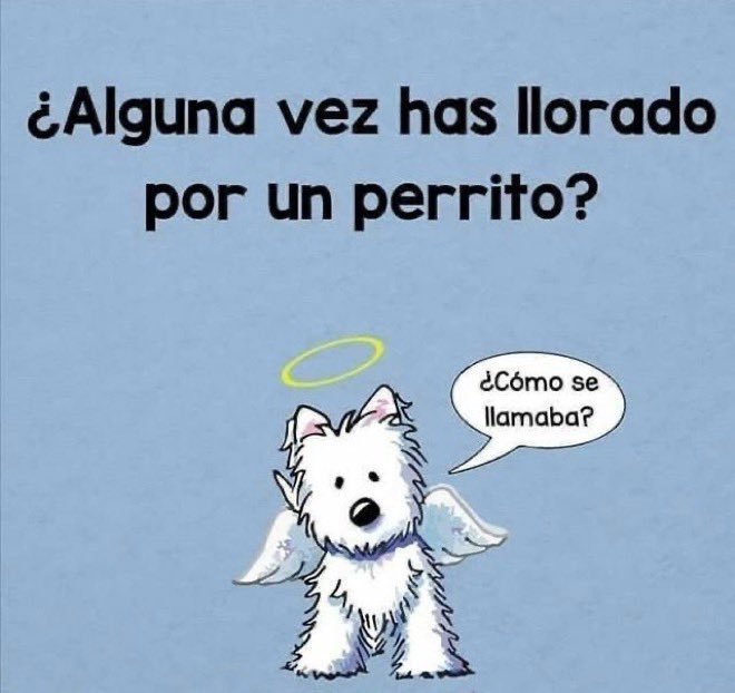 A Project tweet media