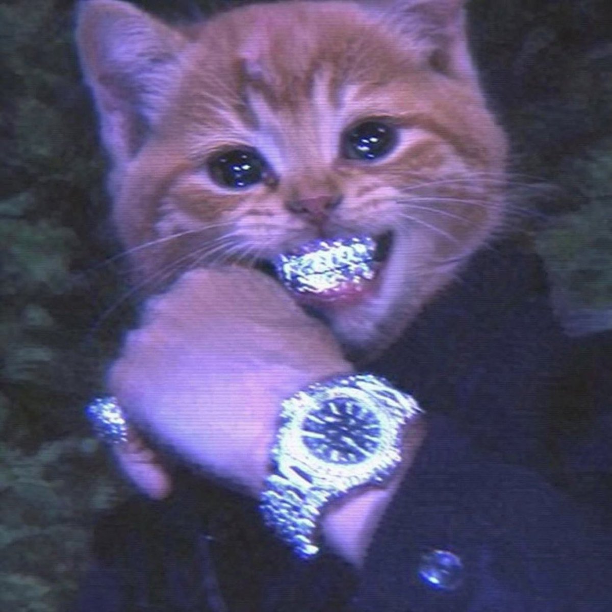 Sgt. Wingflapper tweet media