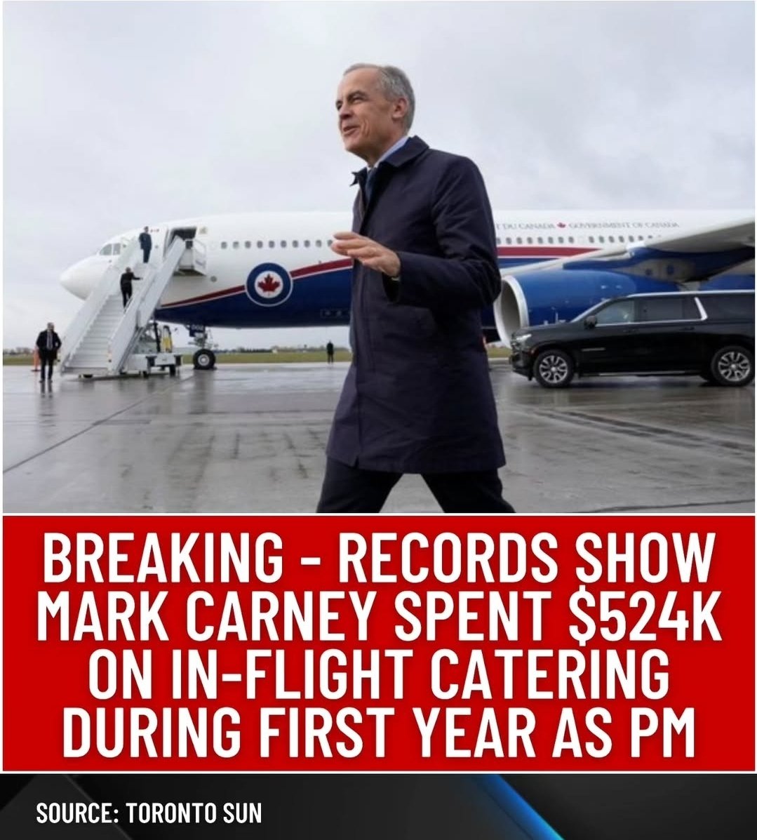 Michelle LA🇨🇦 tweet media