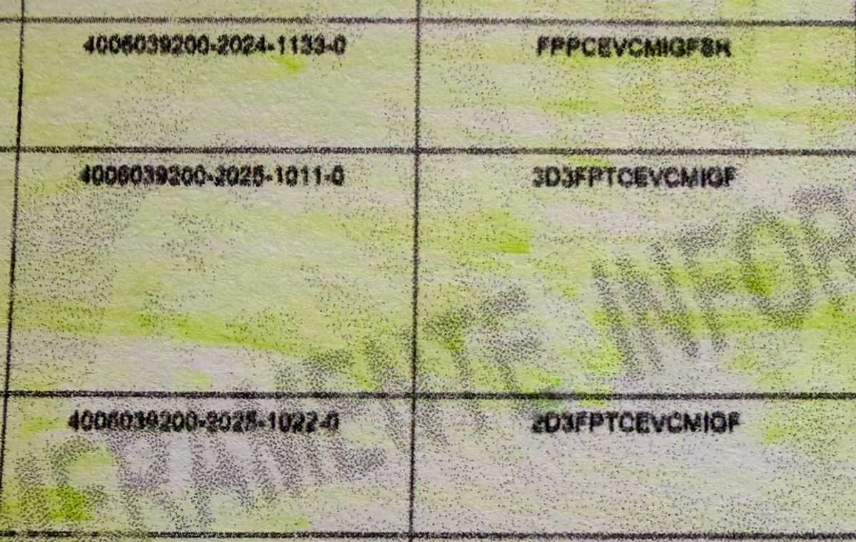 Karla Ramírez Camarena tweet media