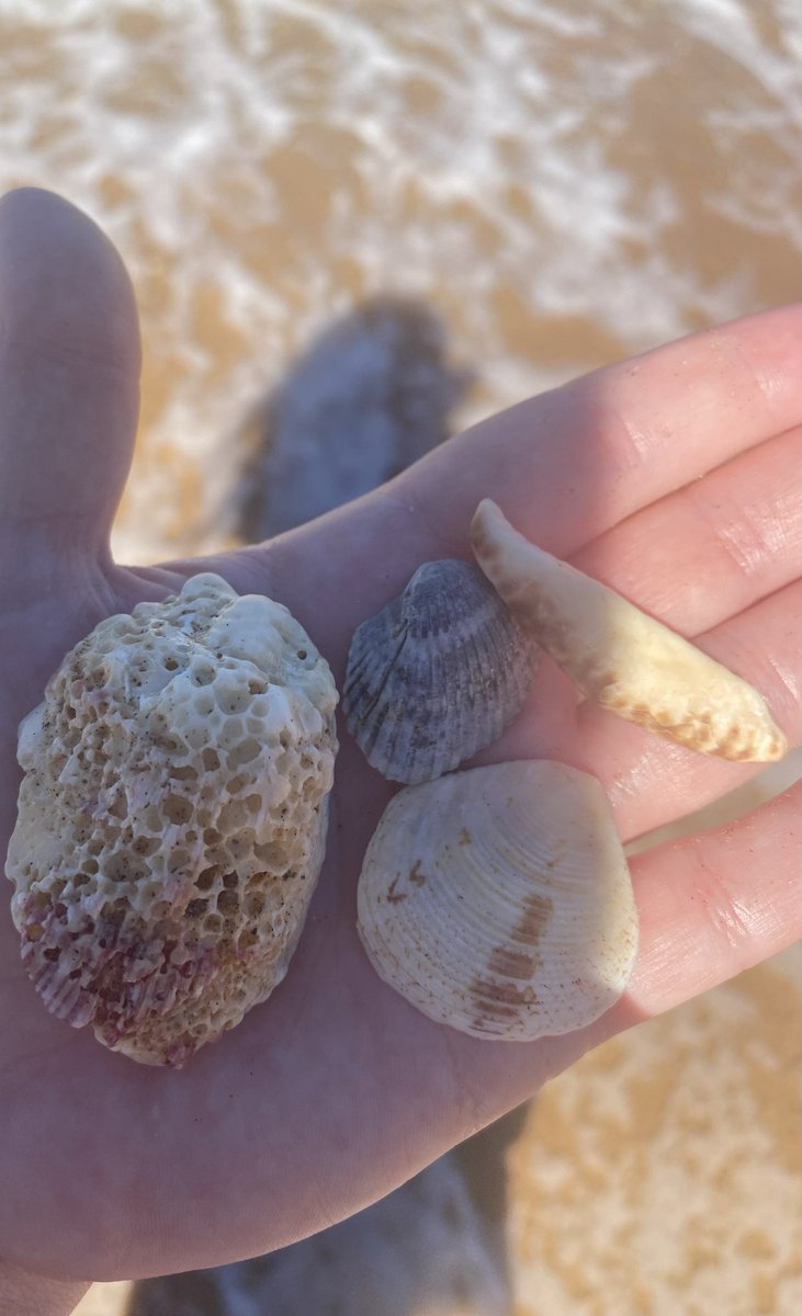 Nadia 🌙 tweet media