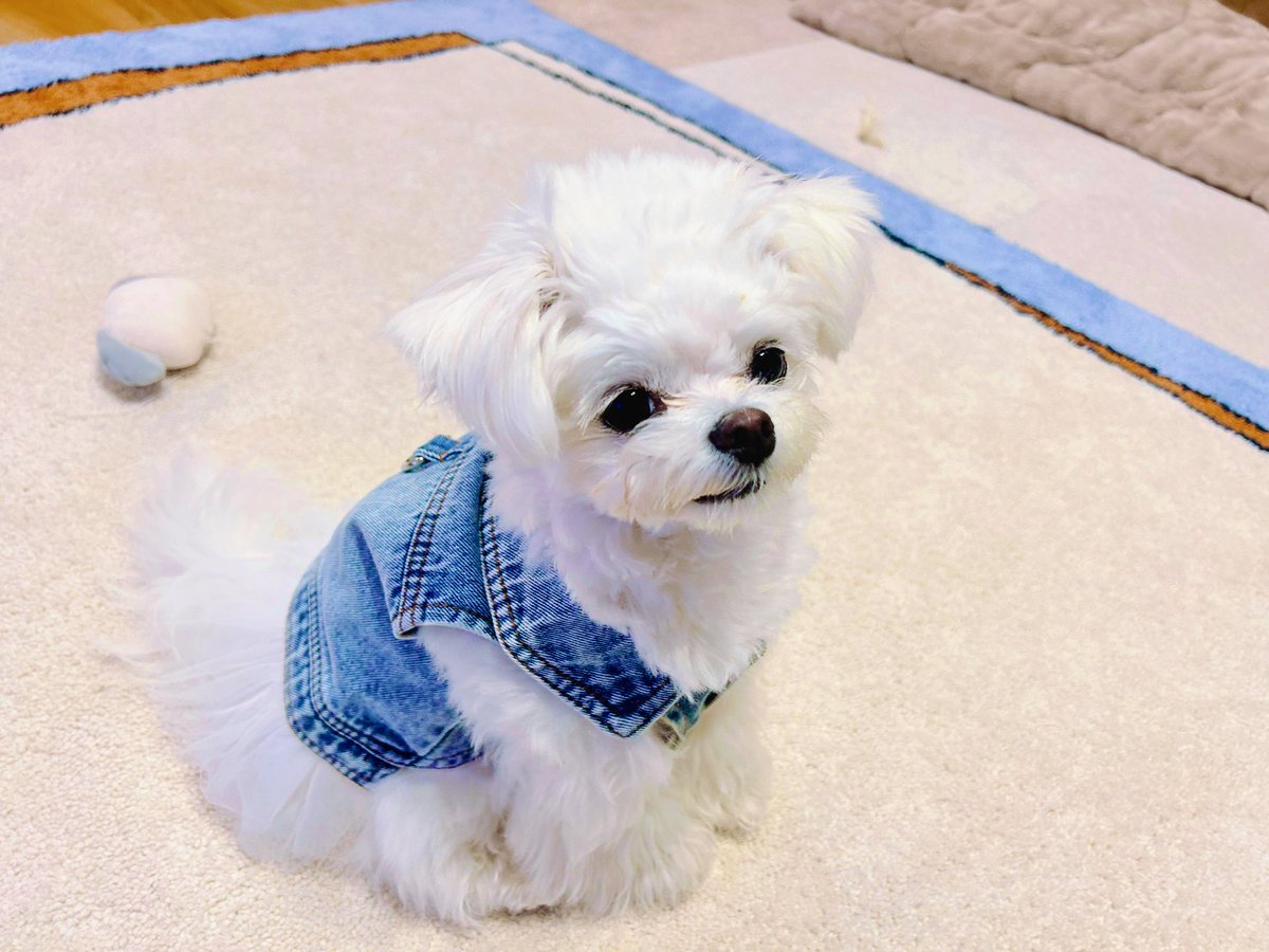 侑奈　里咲 tweet media