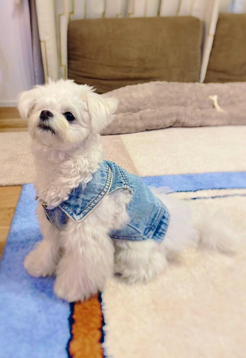 侑奈　里咲 tweet media