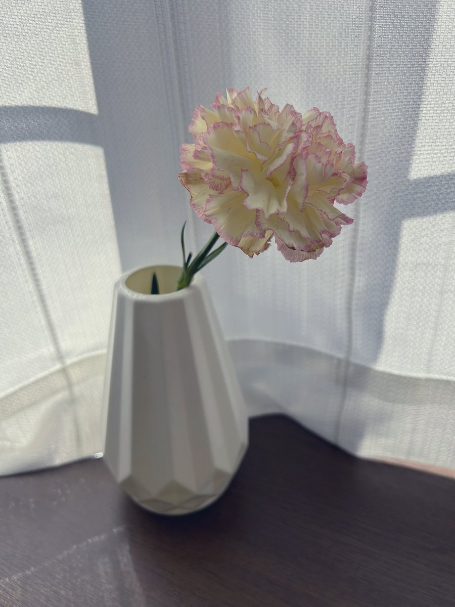おはようございます😊
1ヶ月前にショート動画を撮影した時の花が、まだ咲いています🏵️

切花ってキレイで癒されるけど、
長く咲いてくれると嬉しい反面、少し切なくもなりますよね🥲

今週は学びの時間や外に出る機会も多いので、楽しみながら
感じたことを歌にも繋げていきたい🎤

素敵な1日を🍀