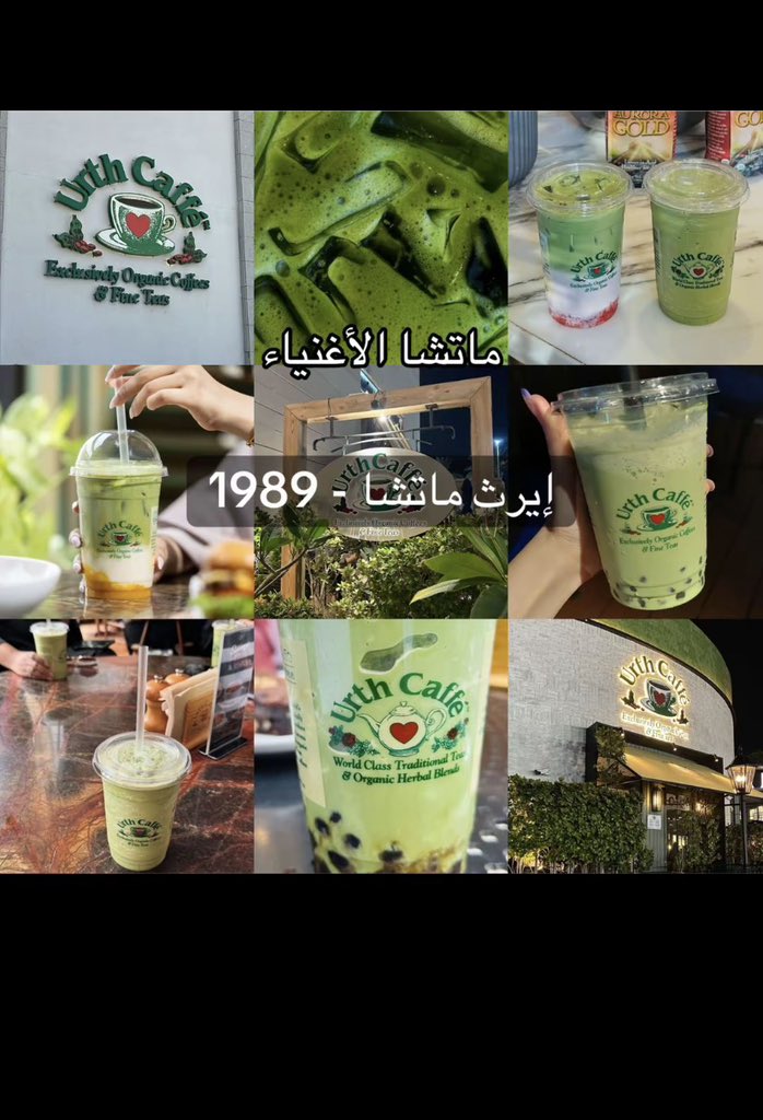 。 ₊°༺$❦$༻°₊ 。 tweet media