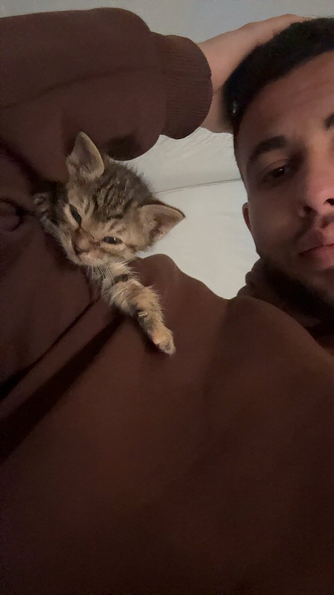 MOHAMMED𓂆 tweet media