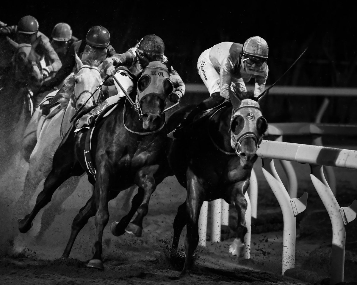 mak.takano tweet media