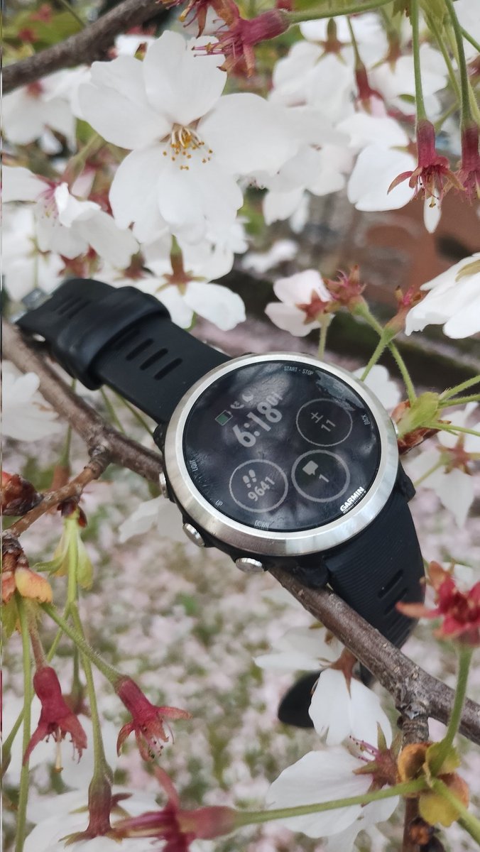 uruuuoooo's tweet photo. GARMIN 645

まだ動くが、電池持ちがかなり落ちてきてメインでの使用はお役目御免。

自分へのお祝いとして買った初めてのGPSウォッチ。
2018.9.4〜2026.4.11
 7年7ヶ月7日、30,657km、雨の日も雪の日も酷暑の日も長く長くお世話になりました。

#ランニング断捨離 https://t.co/xU1P8wHJFQ
