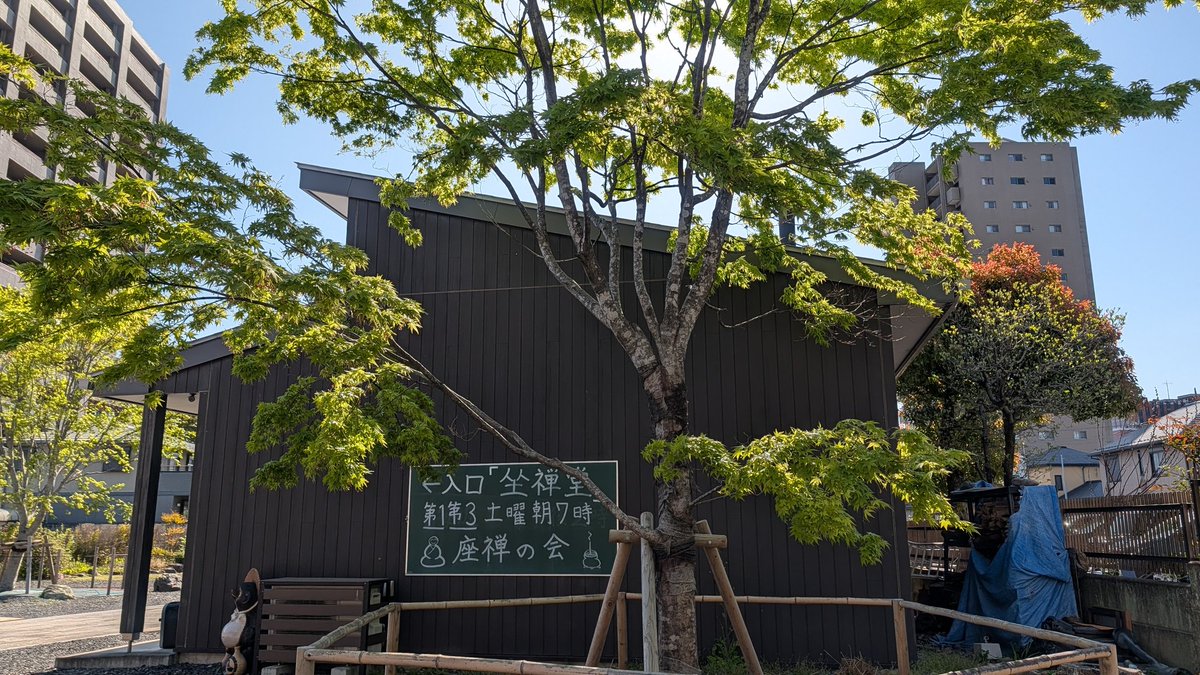 wakaosho's tweet photo. この一週間で境内の緑が
いっぱいになりました♪

写真は坐禅堂の楓と
新書院裏の楓です。 https://t.co/94KPkhQT5t