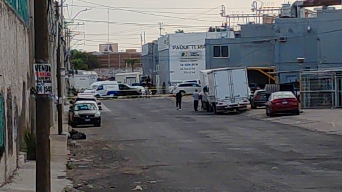 Potrillo en León tweet media