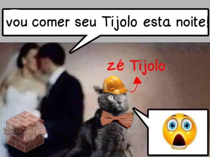 Loucos por Tijolo tweet media