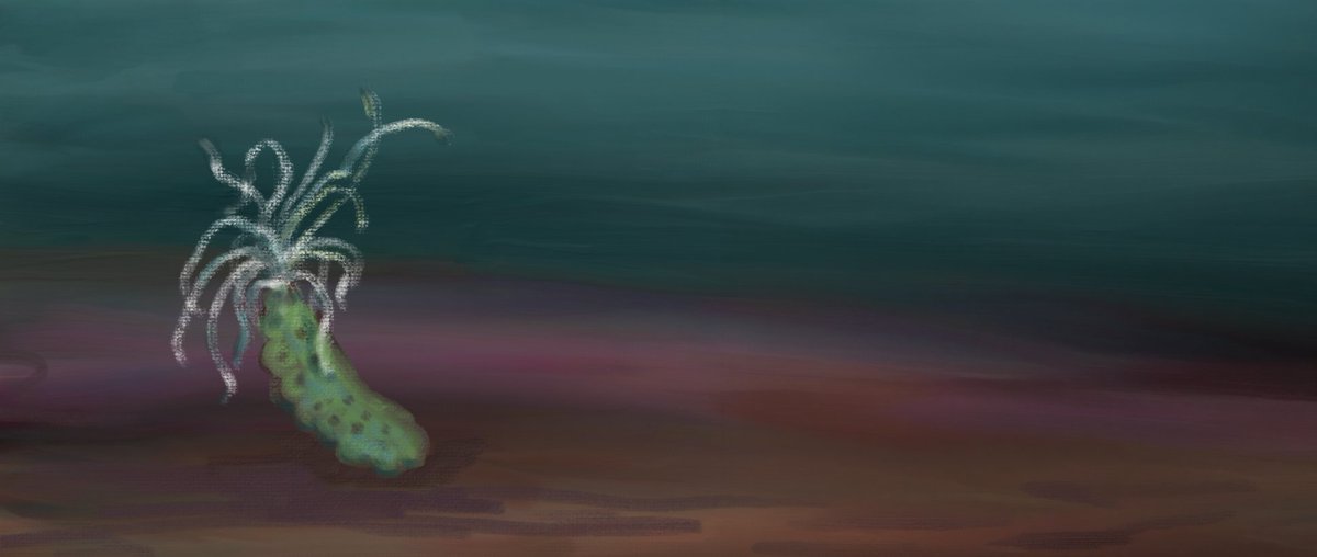 Everyone's writing about ai. 
I wrote about how I am a sea cucumber. 
medium.com/@bradee/i-am-a…