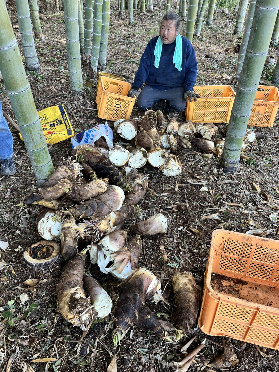 園田みつよし　遊び人から社長に転職 tweet media