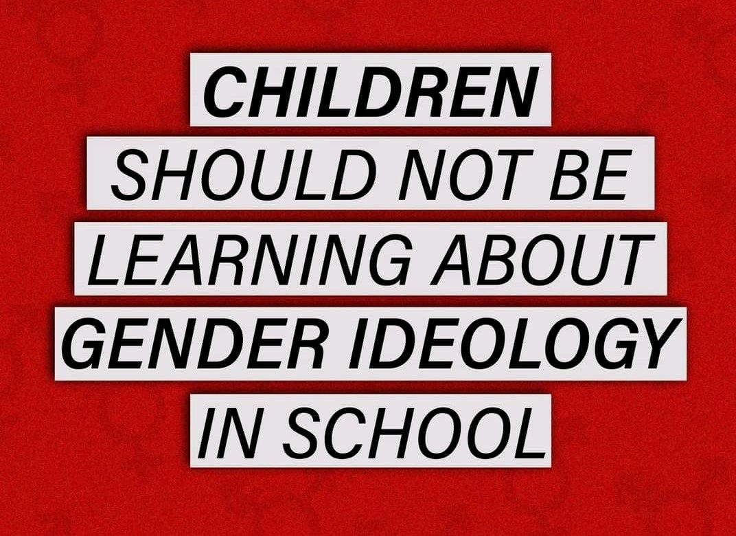 Mr. Star Spangled MAGA tweet media