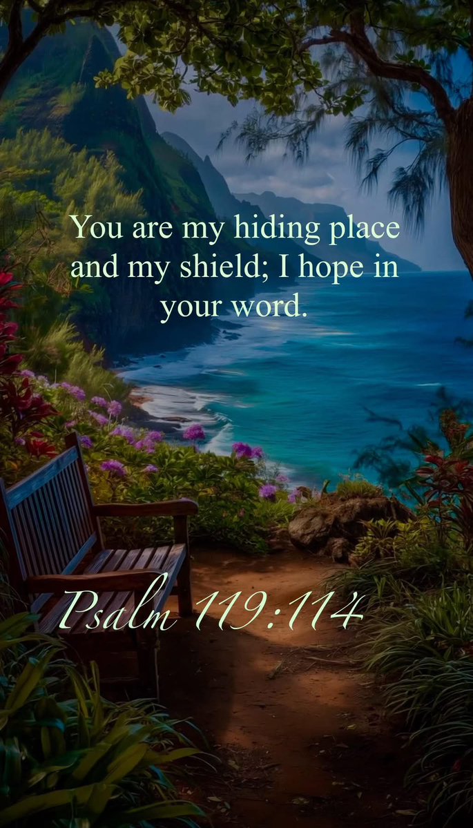 Alan (@elaine_alan) on Twitter photo 