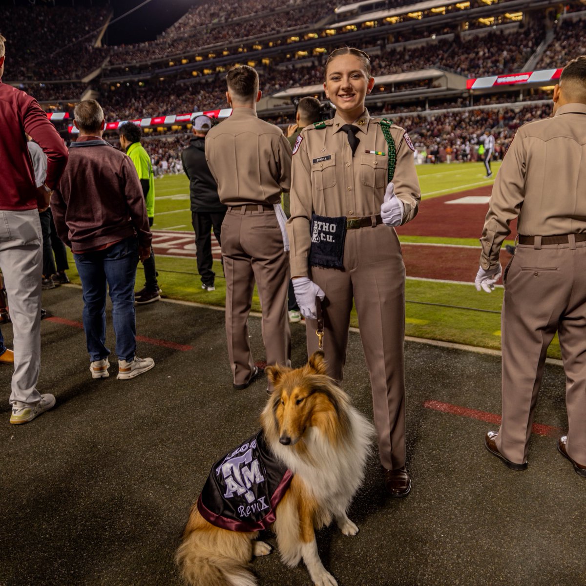 Texas A&M VetMed tweet media