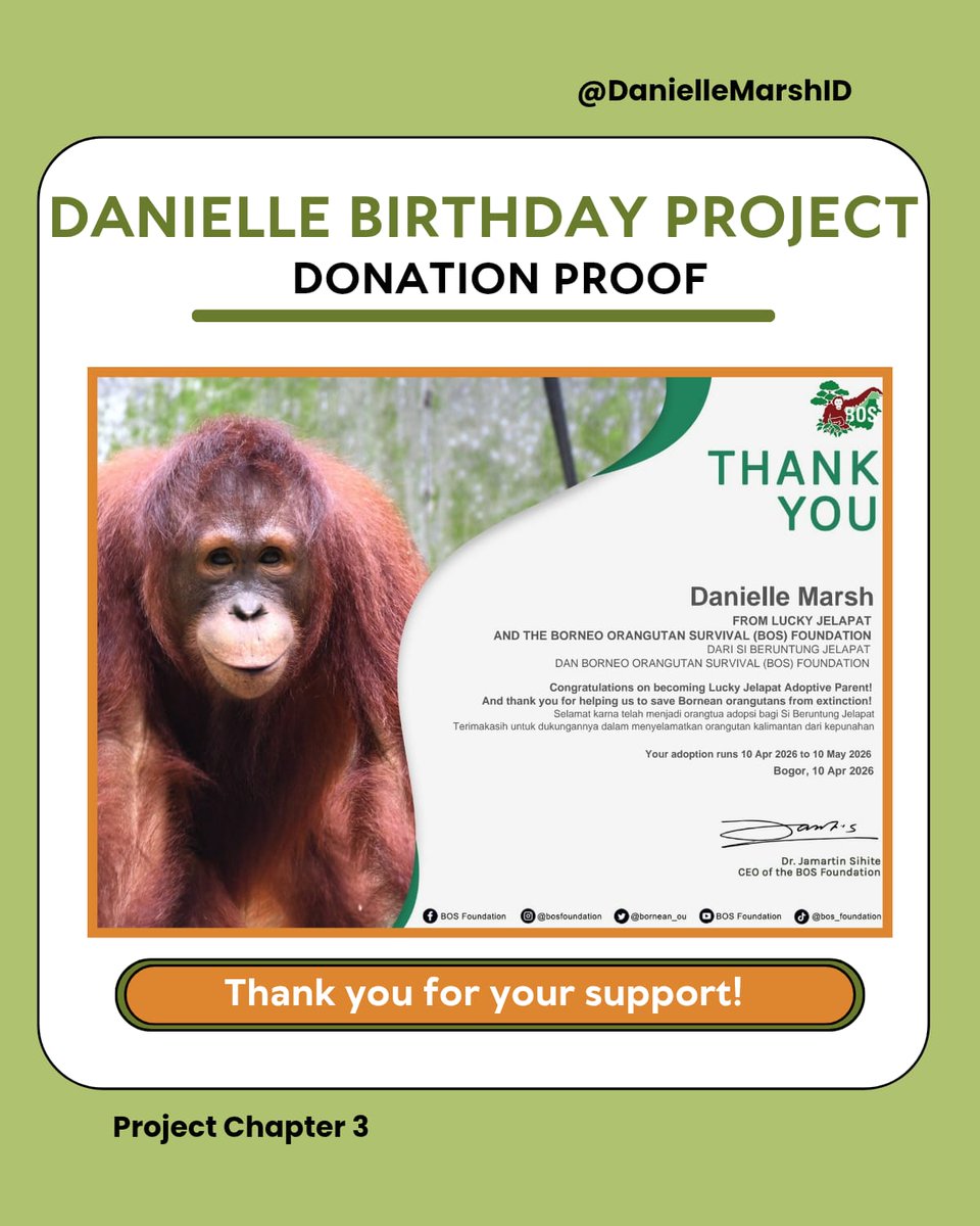 DanielleMarshID's tweet image. 🌻Danielle Birthday Project🌻
Presented by DanielleMarshID

Project part 𝟑: Adopt Orangutan via @bornean_OU in the name Danielle Marsh from Lucky Jelapat. 🦧 🤎

wishing #DANIELLE a luck-filled year! 💖✨

Sincerely, Indonesian Marshmallow’s.

#다니엘 #DANIELLE #ダニエル