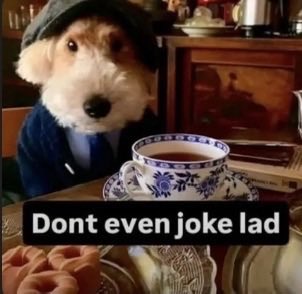 Rusty❌ tweet media