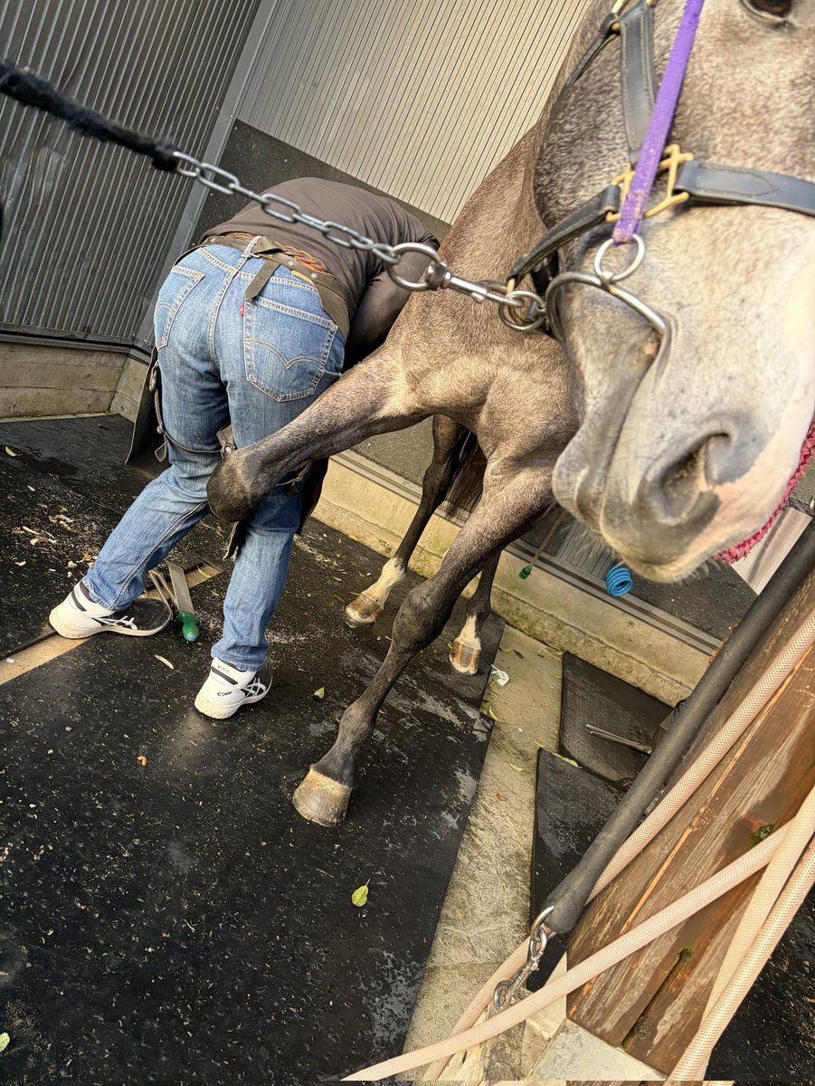 安藤まぐろ🐎 tweet media