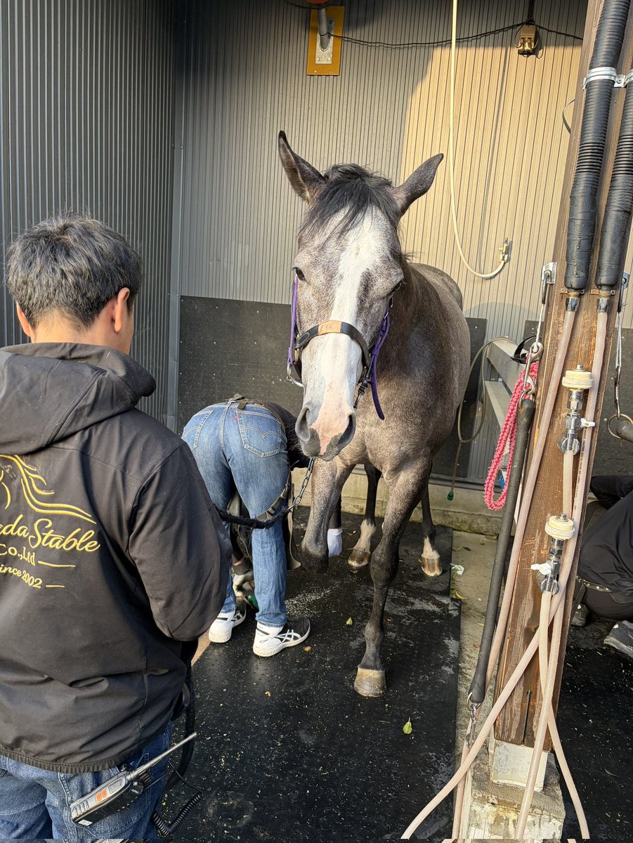 安藤まぐろ🐎 tweet media