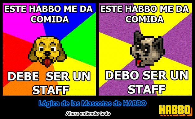 Kaidox Habbo tweet media