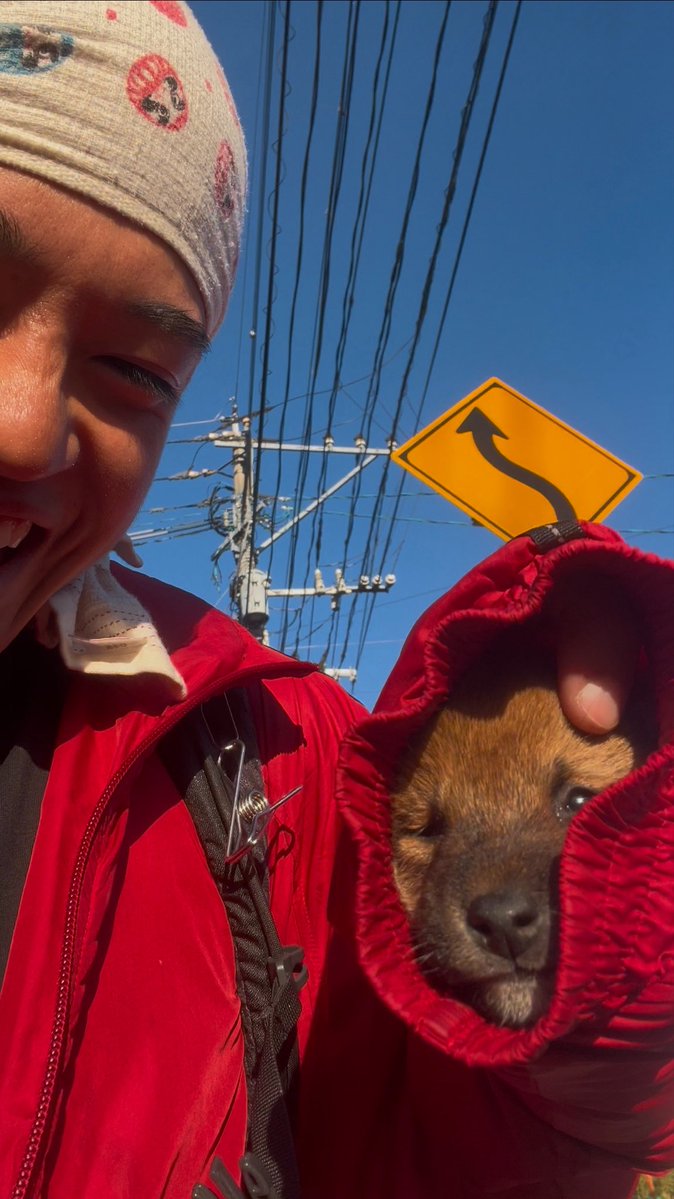 Kantaro San tweet media