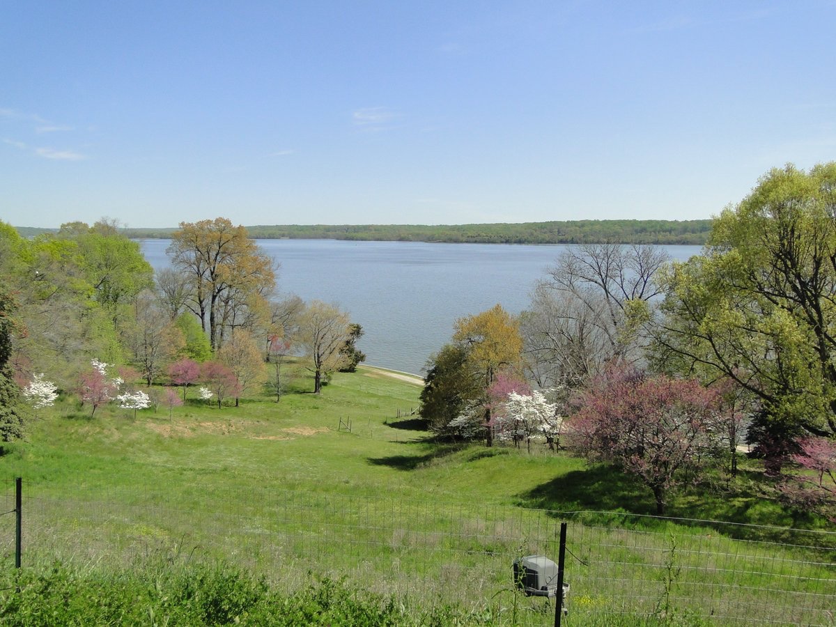 MarkWerling5's tweet image. The Virginia colony was founded today in 1606.

Established by James I, but named for Elizabeth, the "Virgin Queen."

The Potomac, as seen from Mount Vernon.  #Virginia #USHistory