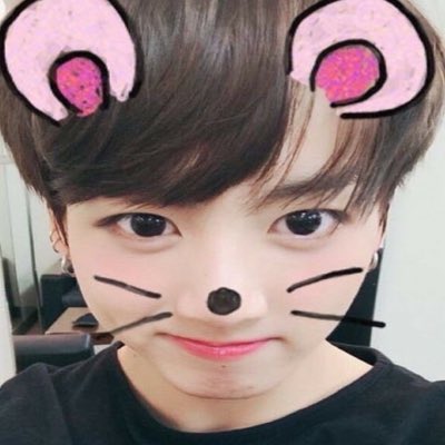 mousekook's tweet image. #NewProfilePic #testing