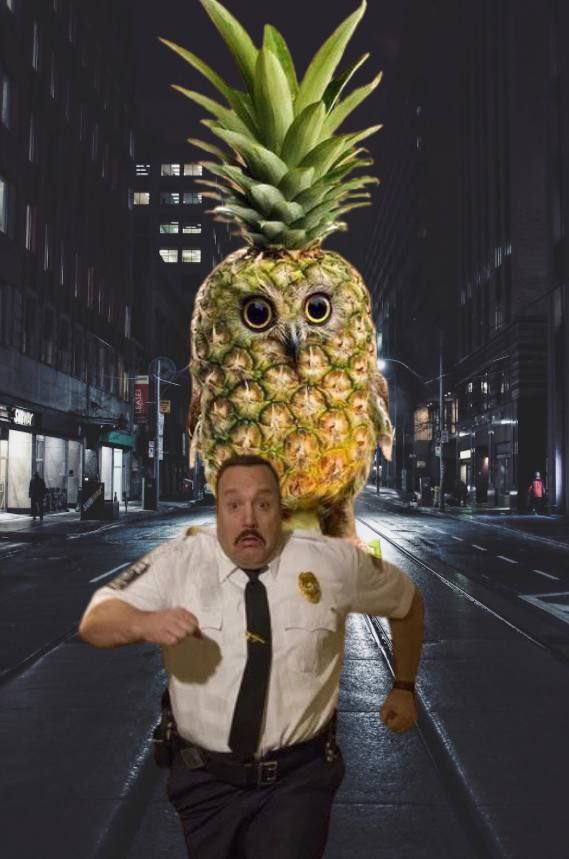 PINEOWL 🍍🦉 tweet media
