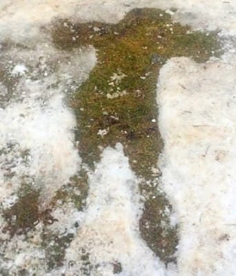 SİYAH SANCAK tweet media