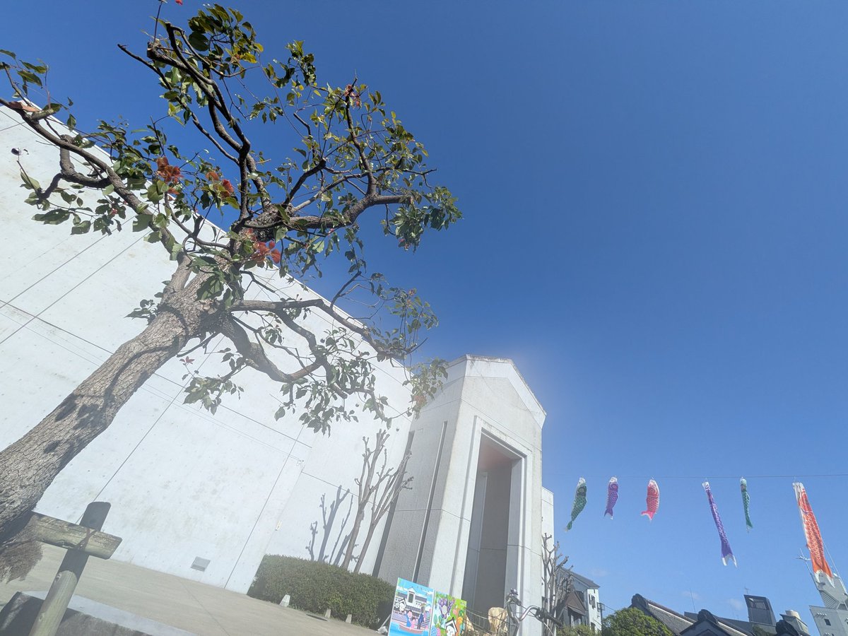 栃木市ホームタウン協議会設立を目指す会 tweet media