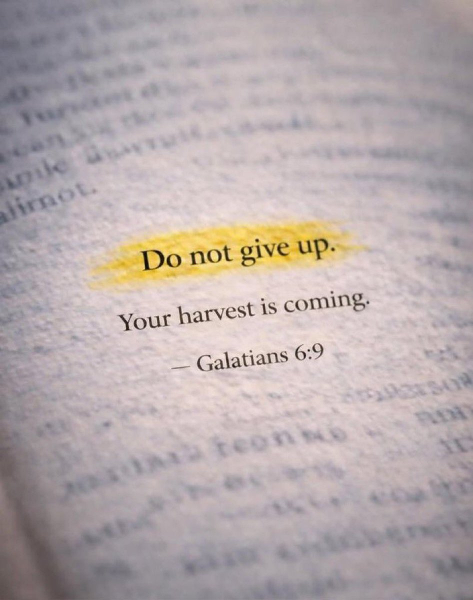 Aesthetic.Guyy tweet media