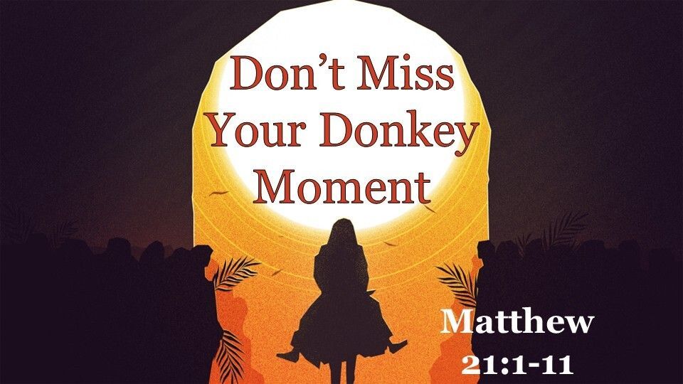 BVCC2's tweet photo. This Sunday, we explore a beautiful reminder: Jesus chose a humble donkey to carry Him into Jerusalem - not a war horse. God often chooses the lowly and  insignificant to accomplish His will. Join us this Sunday at 10AM at 75 E. Lancashire Blvd, Bella Vista. All are welcome! https://t.co/6dvBti3p9Z