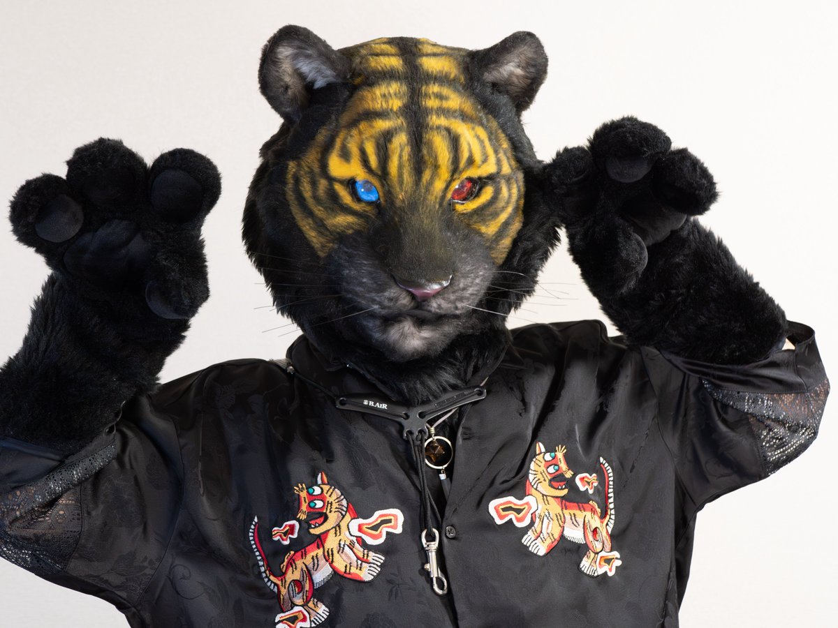 ファルガー/Fulger🌩️🐯 tweet media
