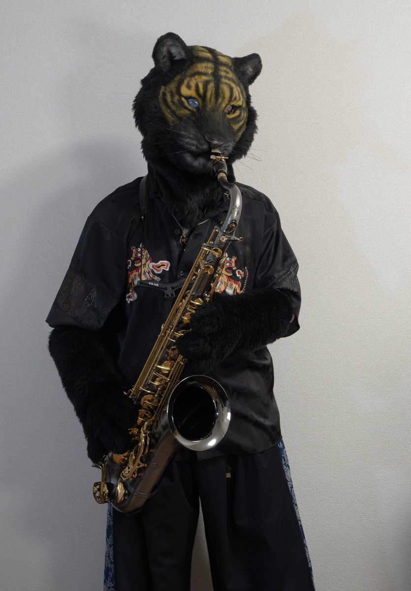 ファルガー/Fulger🌩️🐯 tweet media