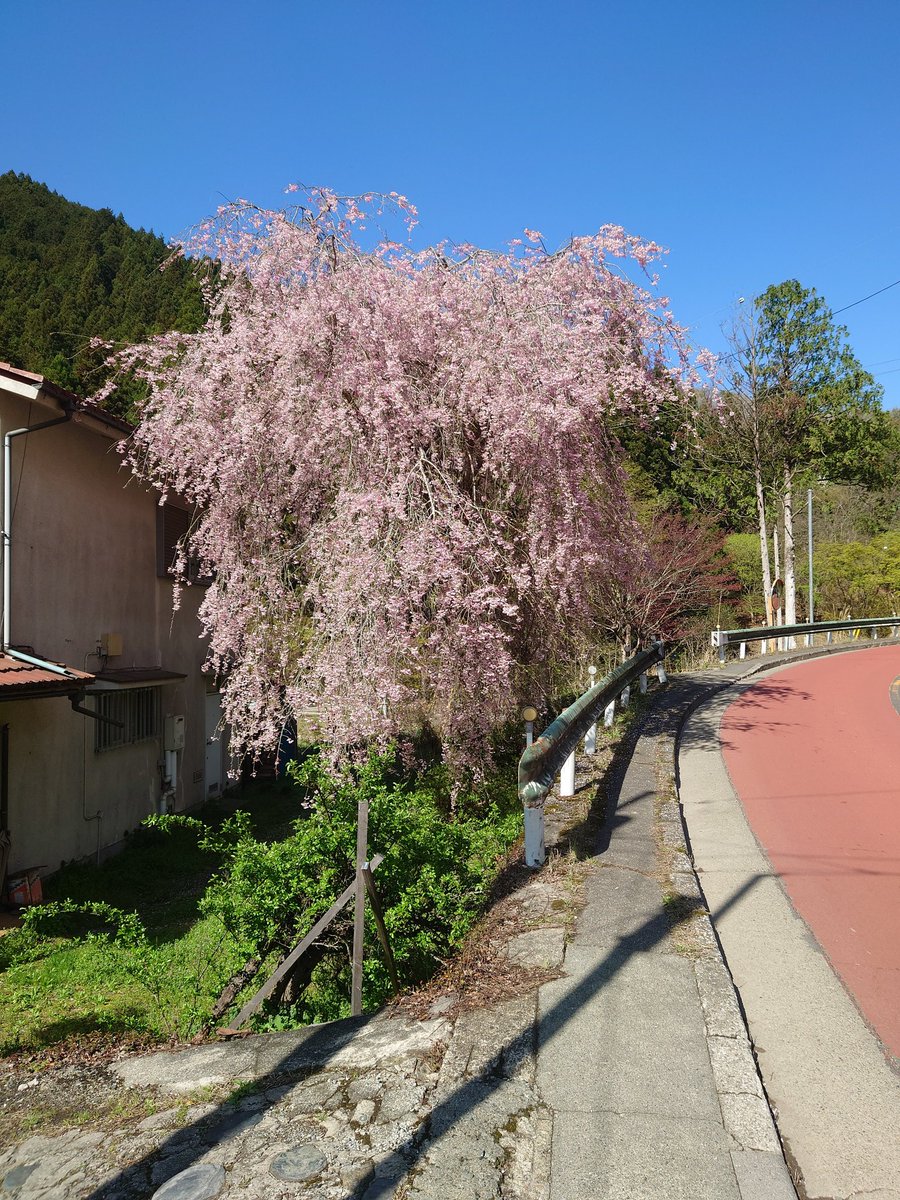 musao@4/19かすみがうらマラソン🏃💨🔥 tweet media