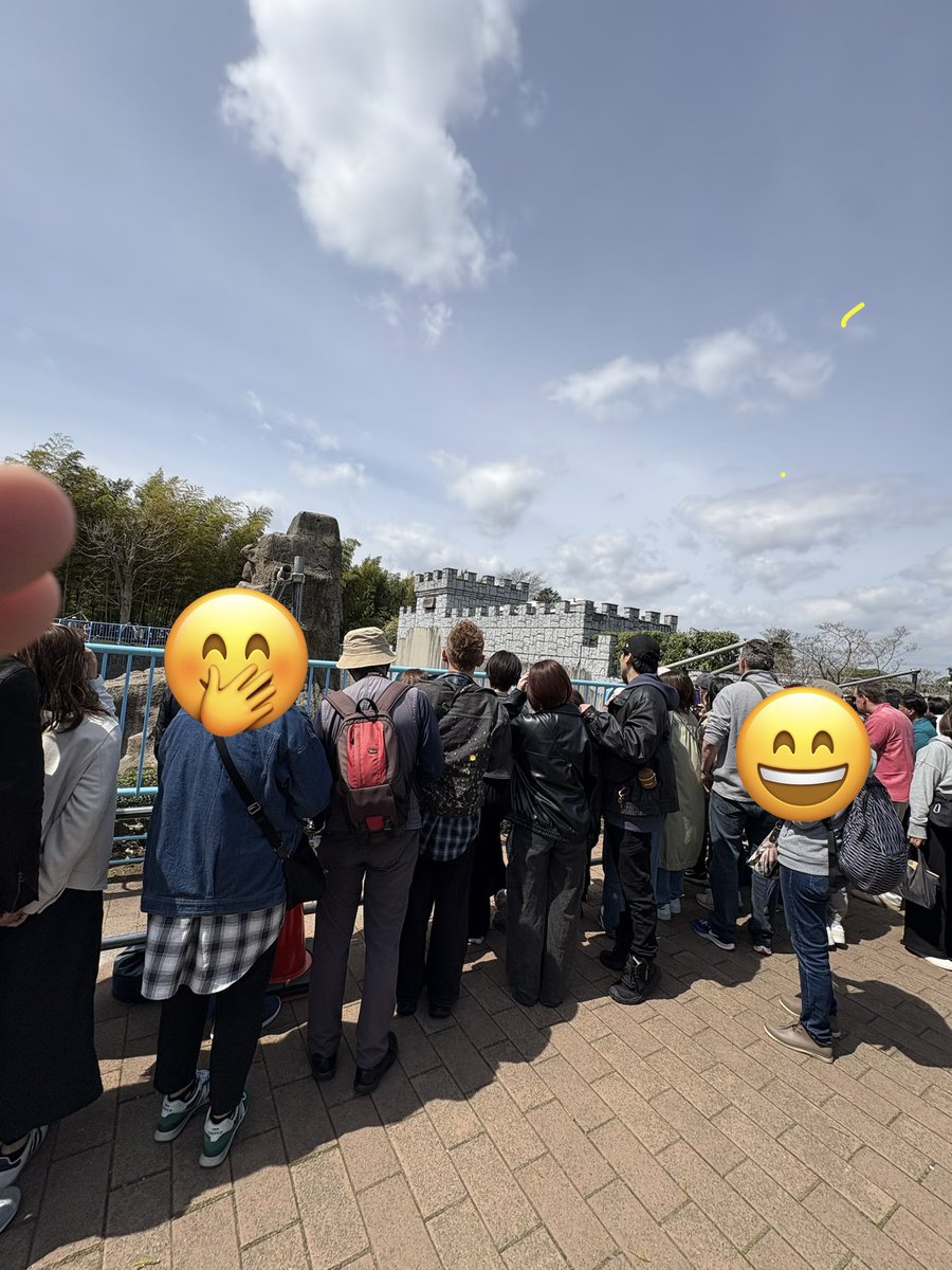 shirokuma tweet media