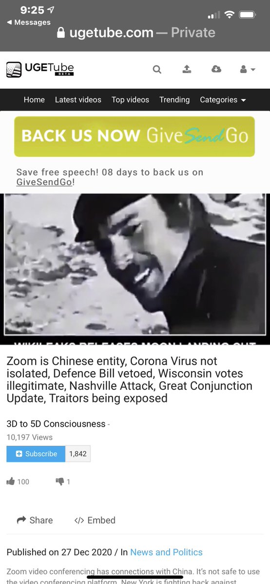 PureBloodPepe tweet media