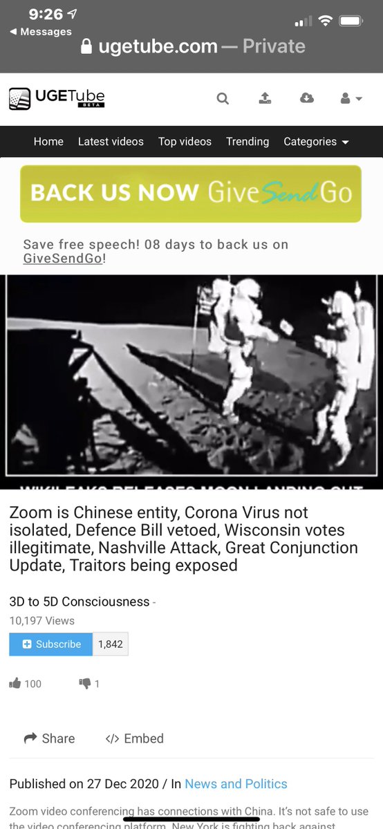 PureBloodPepe tweet media